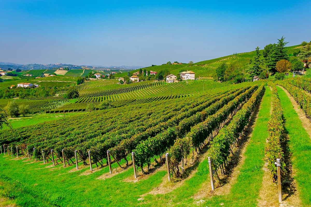 Asti and Canelli: the homeland of Vittorio Alfieri and the iconic Asti Spumante