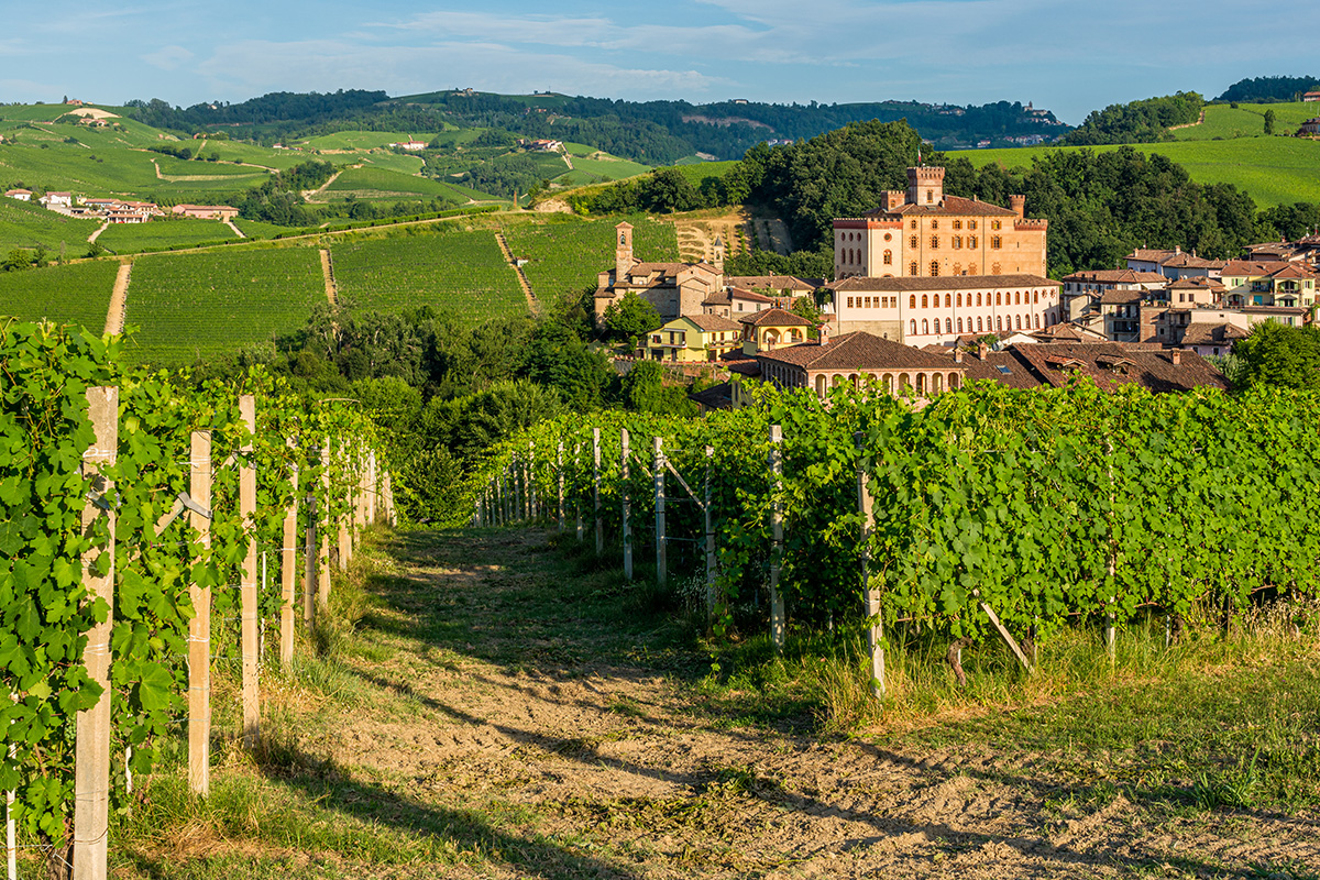 The wonders of Alba and the Langhe region