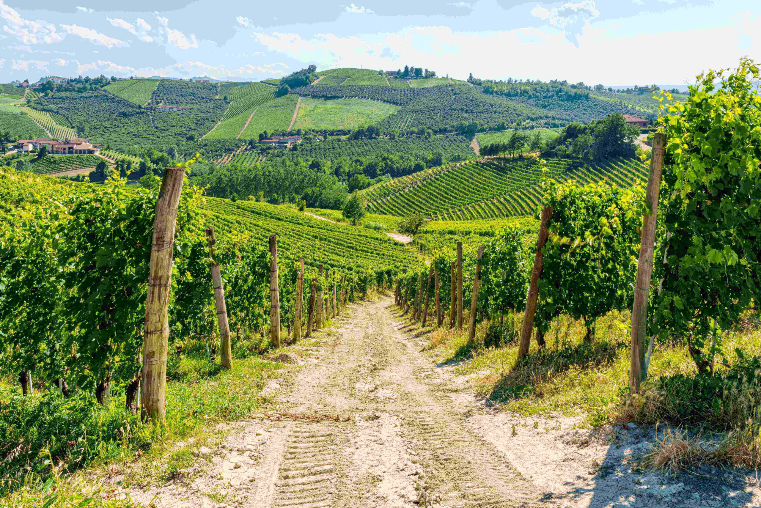 Ascolta quanto è bello il Piemonte